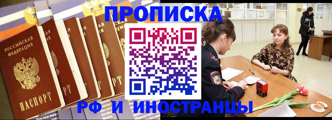 где прописаться в Коле